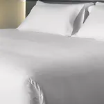 Nh Hirschberg Heidelberg ホテル 4*