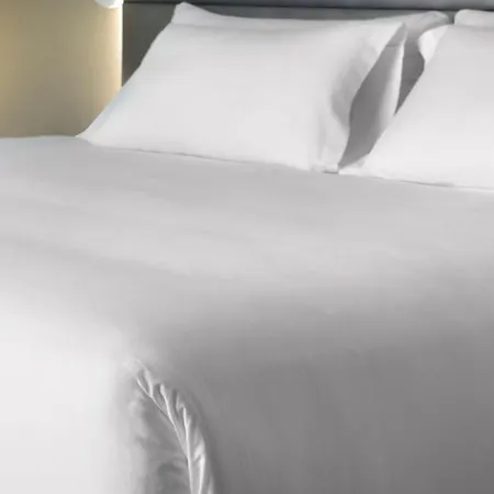 Nh Hirschberg Heidelberg מלון 4*